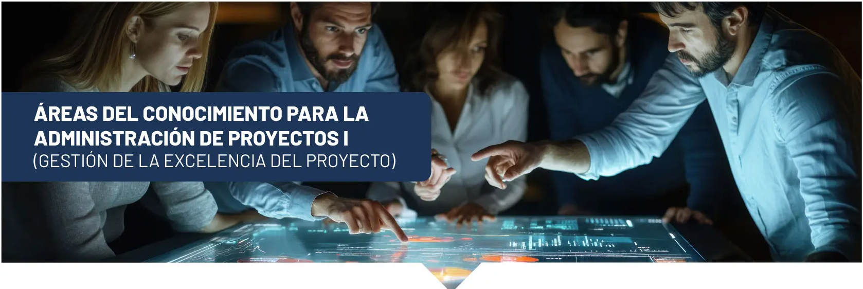 MAPD-05-Áreas del Conocimiento para la Administración de Proyectos I (Gestión de la excelencia del proyecto)