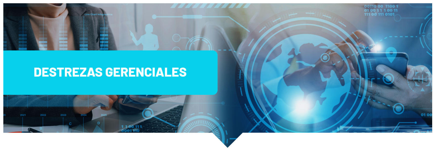 MAPD-03 Destrezas Gerenciales 