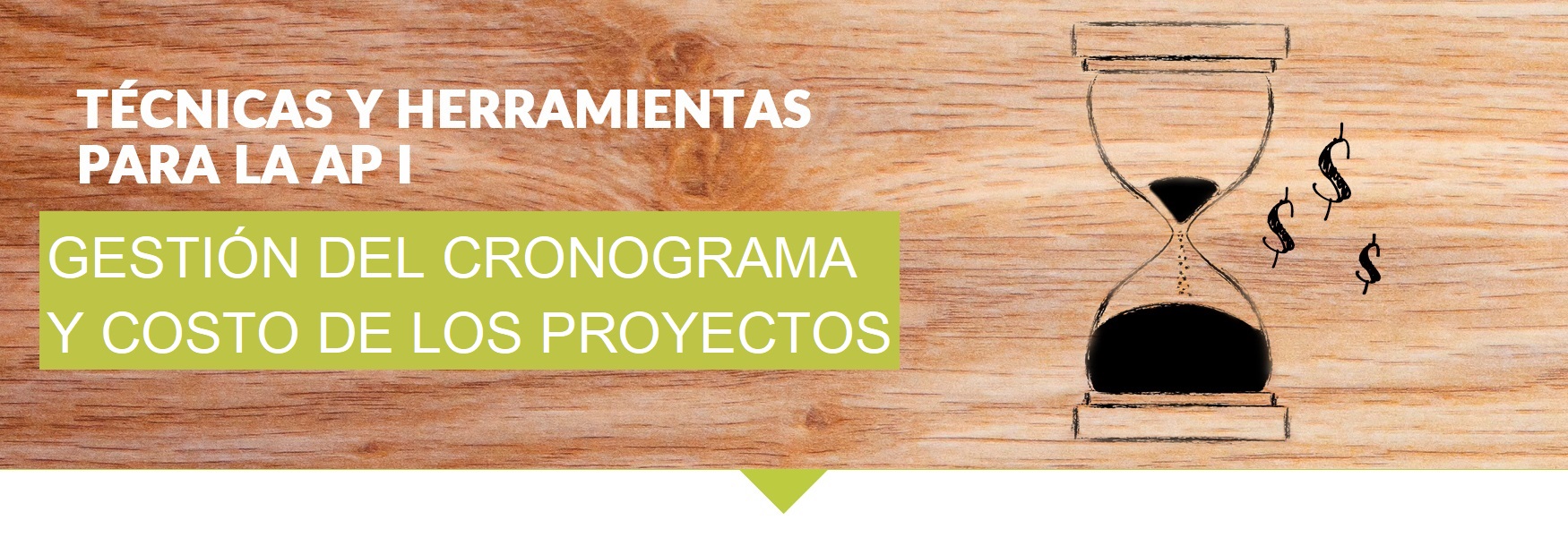 Técnicas y Herramientas para la AP I (Gestión el cronograma y costo del proyecto) (MAPD-06, 0207)