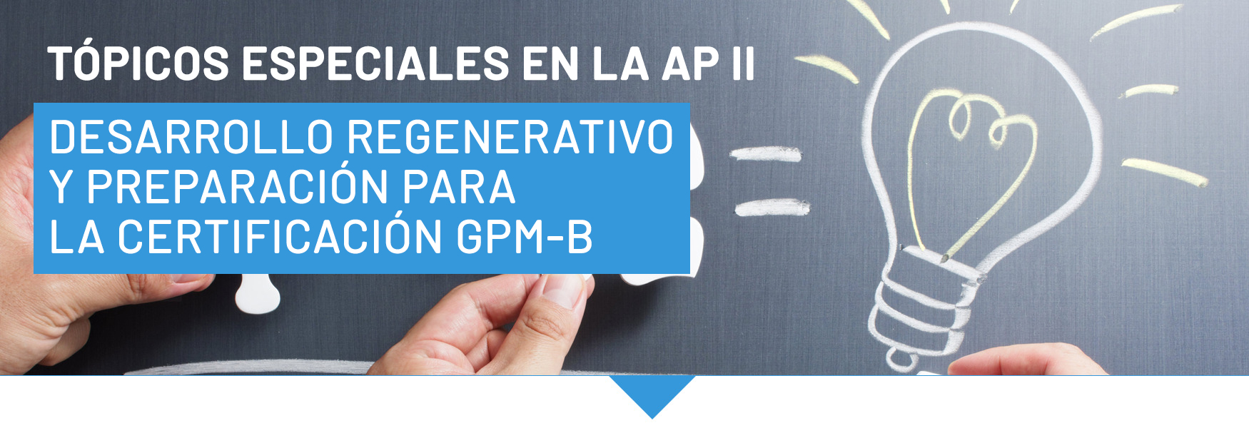 MAPD-11 Tópicos especiales en la Administración de Proyectos II (Agosto, 2024)