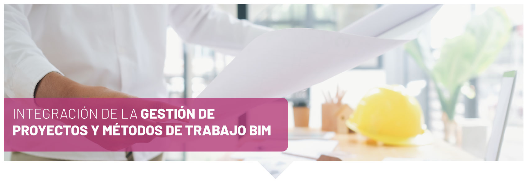 Integración de la Gestión de proyectos y métodos de trabajo BIM