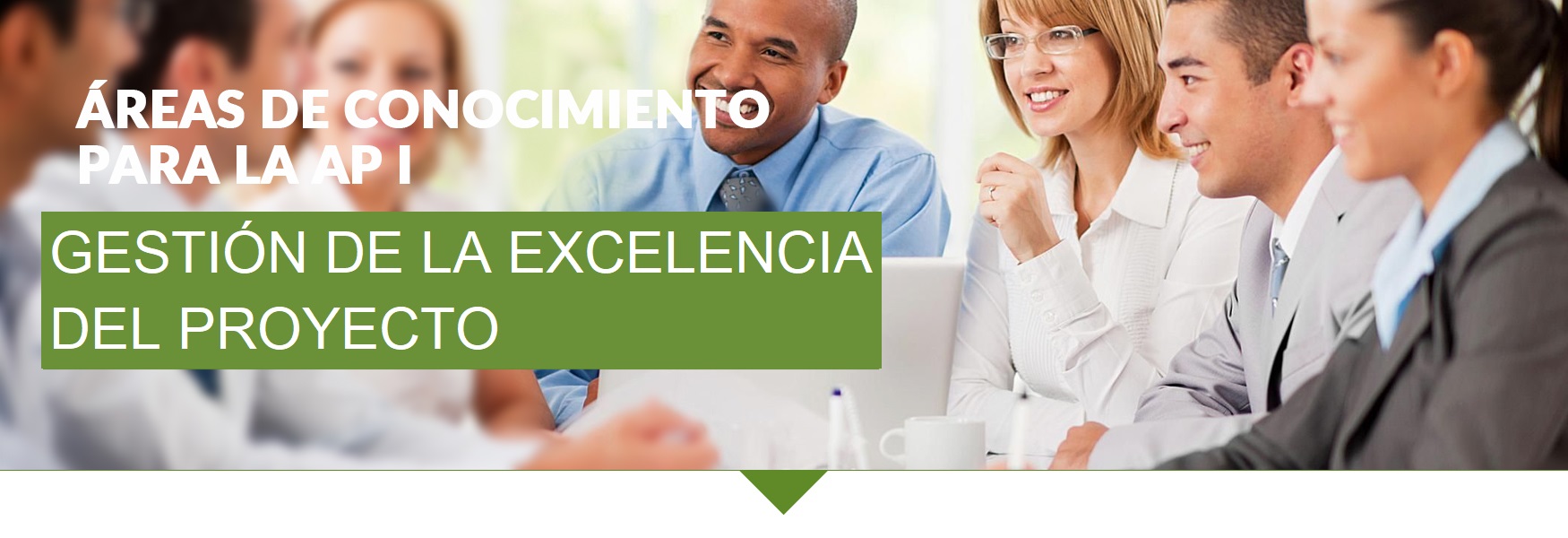 MAPD-05-Áreas del Conocimiento para la Administración de Proyectos I (Gestión de la excelencia del proyecto) (Octubre, 2025)