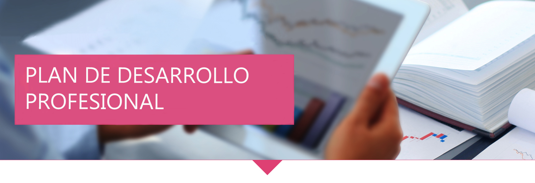 Plan de desarrollo profesional