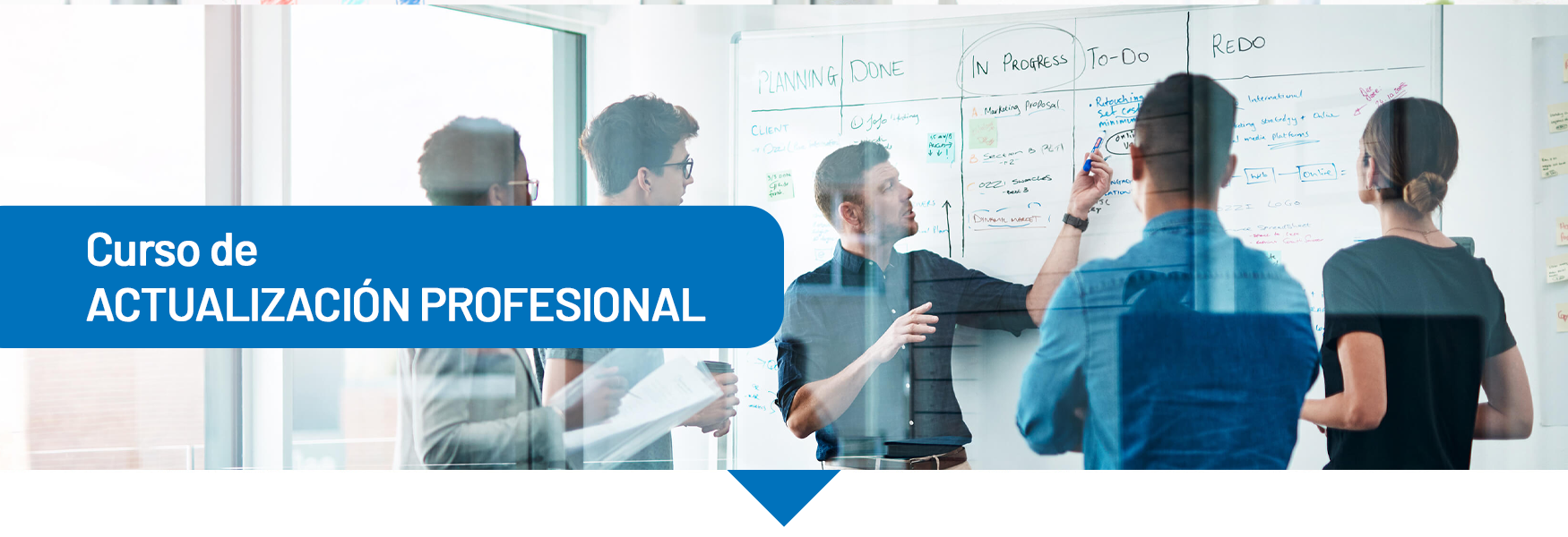 Continuous Professional Development in Project Management (CPD)