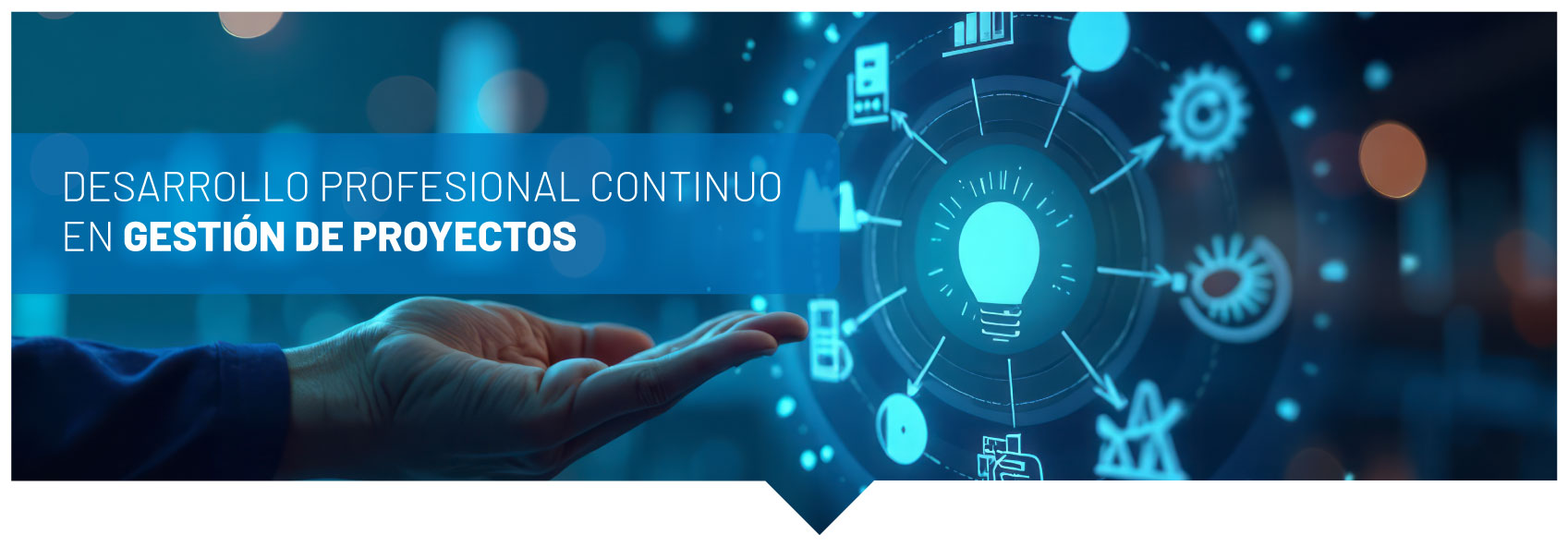 Desarrollo Profesional continuo en Gestión de Proyectos (CPD)